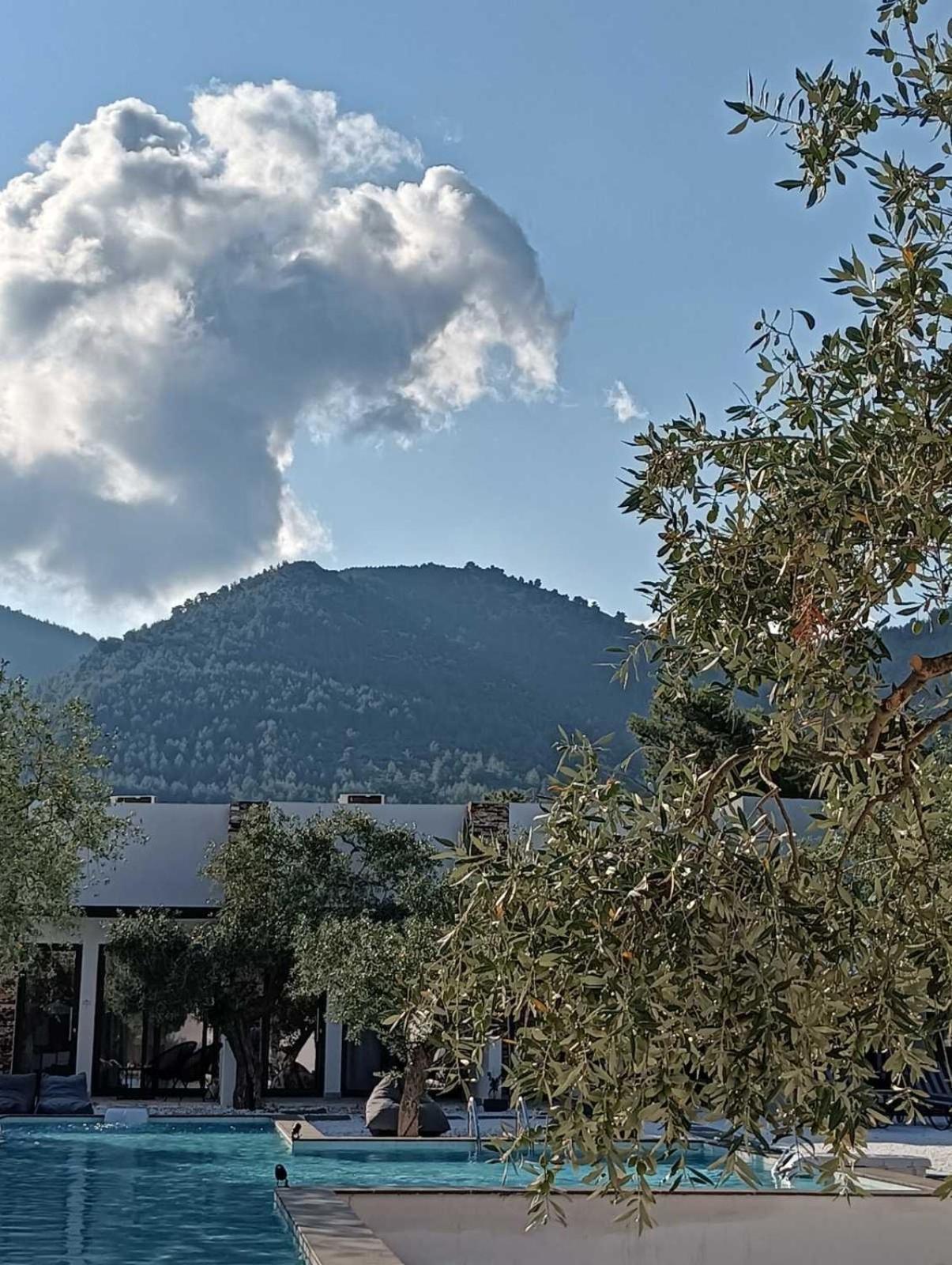 The Olive Hills Ξενοδοχείο Σκάλα Ραχωνίου Εξωτερικό φωτογραφία