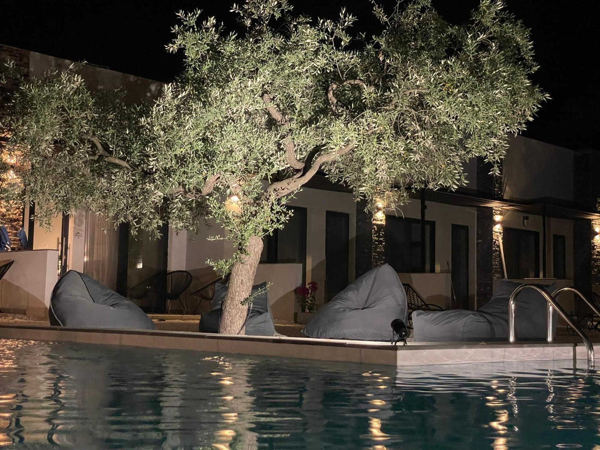 The Olive Hills Ξενοδοχείο Σκάλα Ραχωνίου Εξωτερικό φωτογραφία