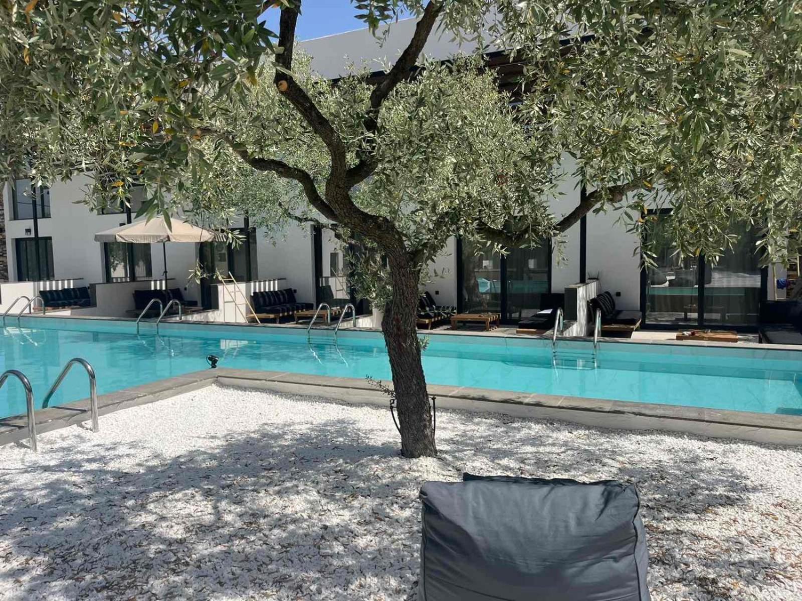 The Olive Hills Ξενοδοχείο Σκάλα Ραχωνίου Εξωτερικό φωτογραφία